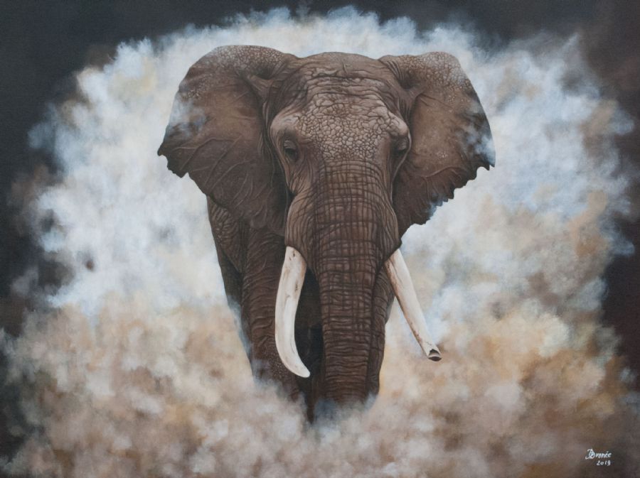 Elephant Boom