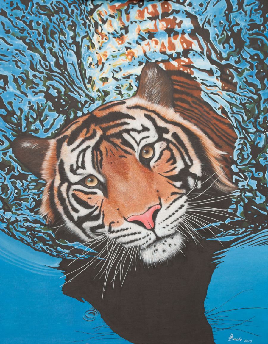 Tiger Splash