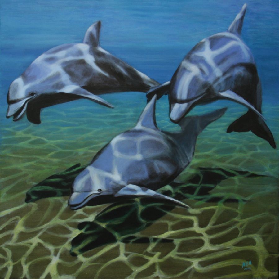 Three dolphins
