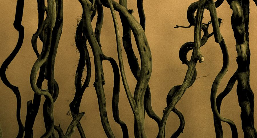 Dancing Needles