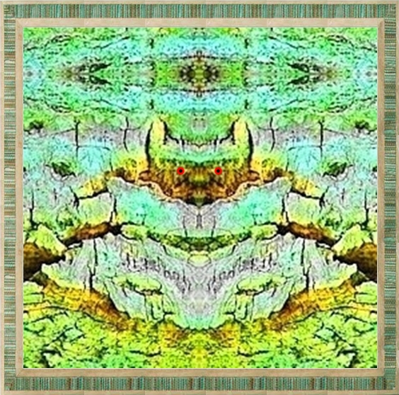 Species-2