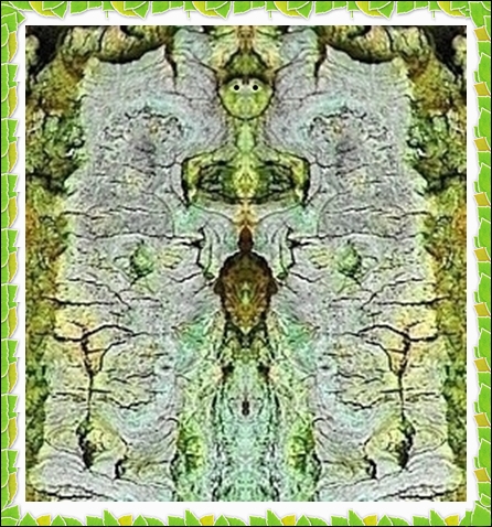 Species-3
