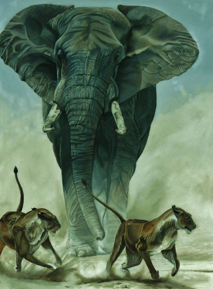 Elefant