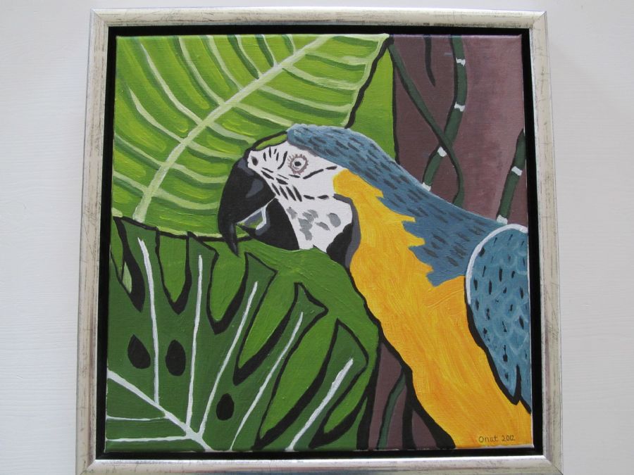 Macaw Parrot