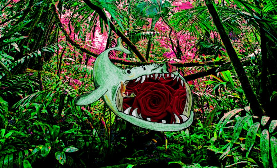 Jungle Grunt