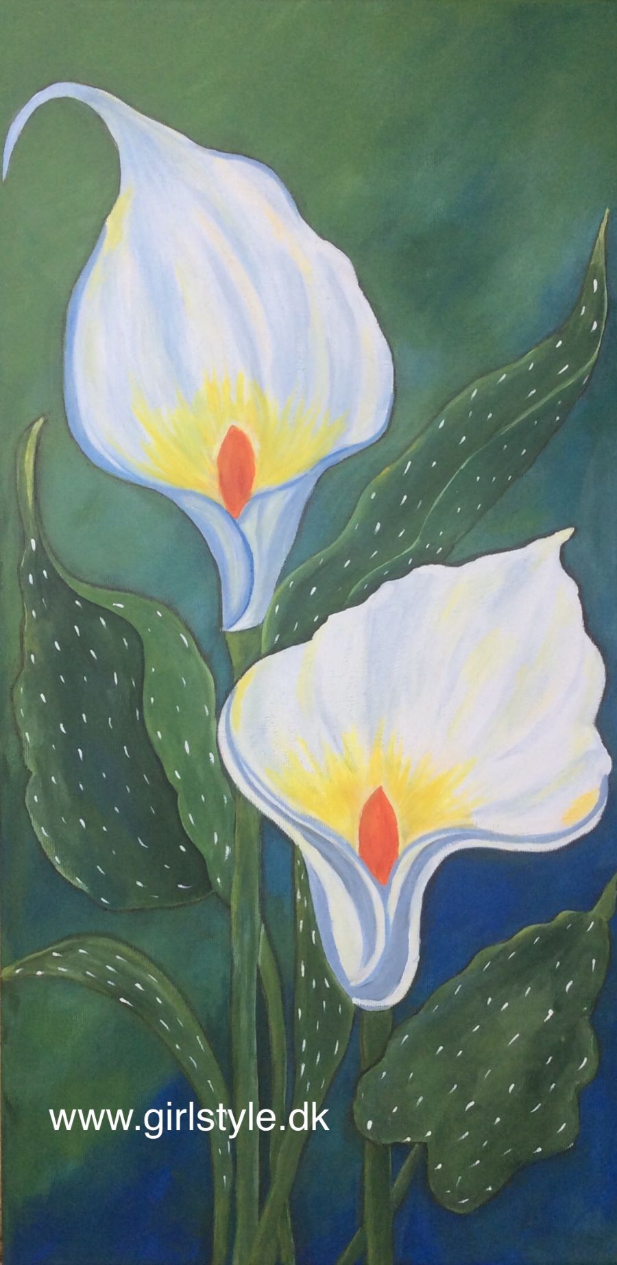Calla liljer
