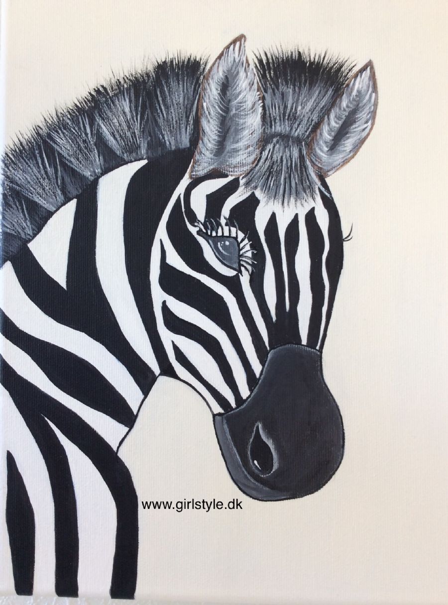 Zebra