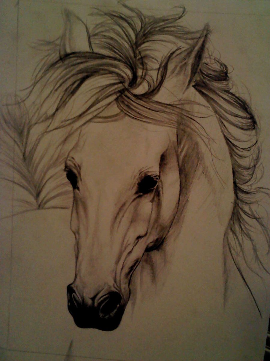 Run horse, Run