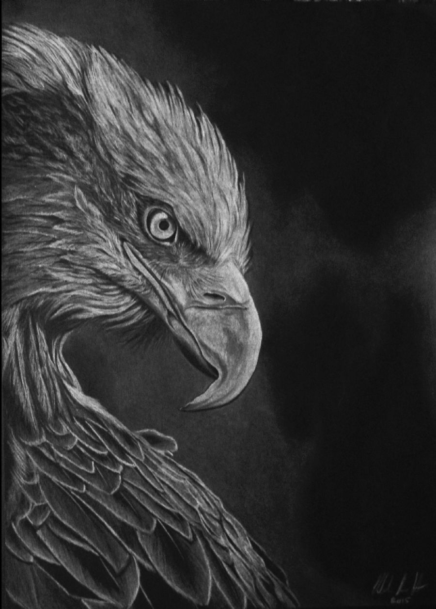 Eagle