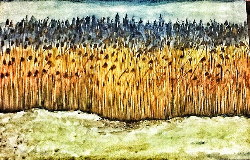 colour 17