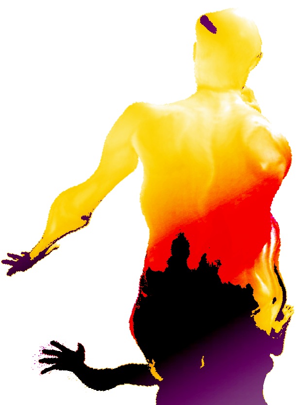 fenix