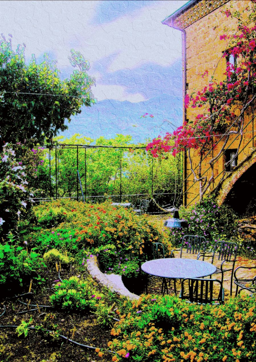 "the dream garden"