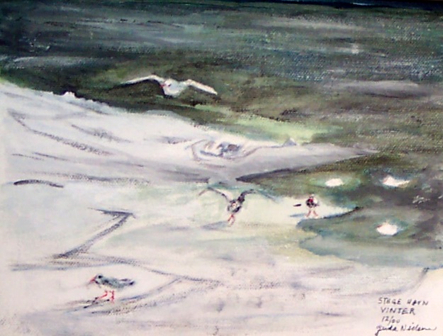 fugle, langelinie, møn