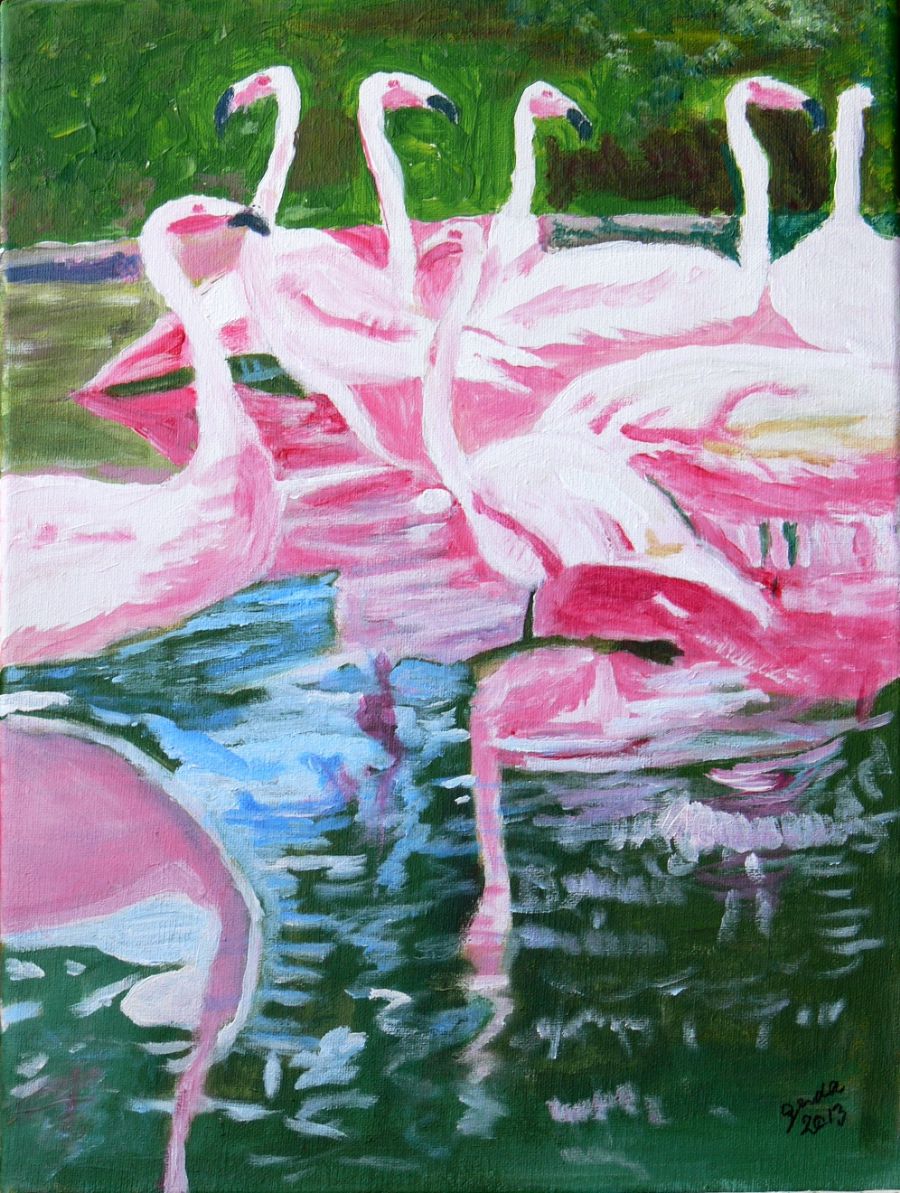 Flamingo-spejling