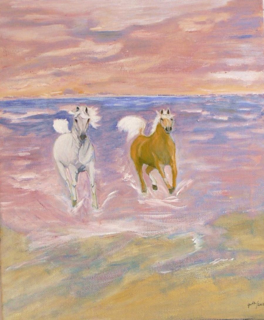 heste ved strand