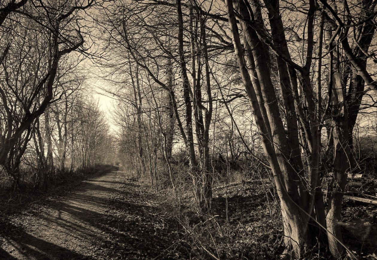 Aasen walkpath