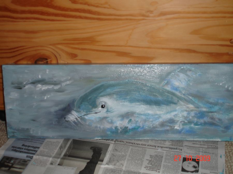 delfin