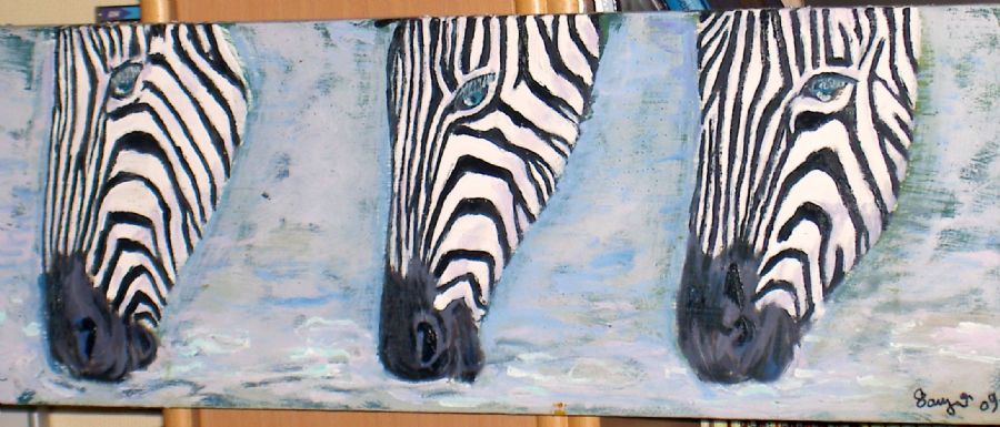 zebra på druk