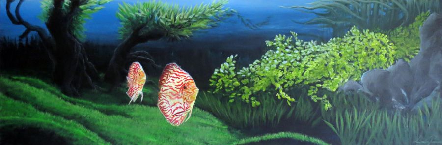 Discus
