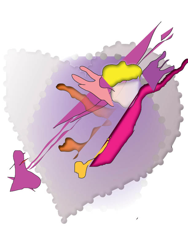 engel