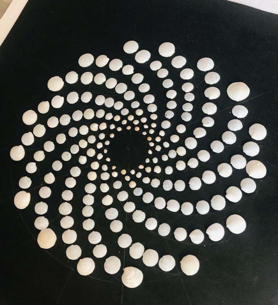 Naturlig muslingeskal geometrisk abstrak – collage af Tenia