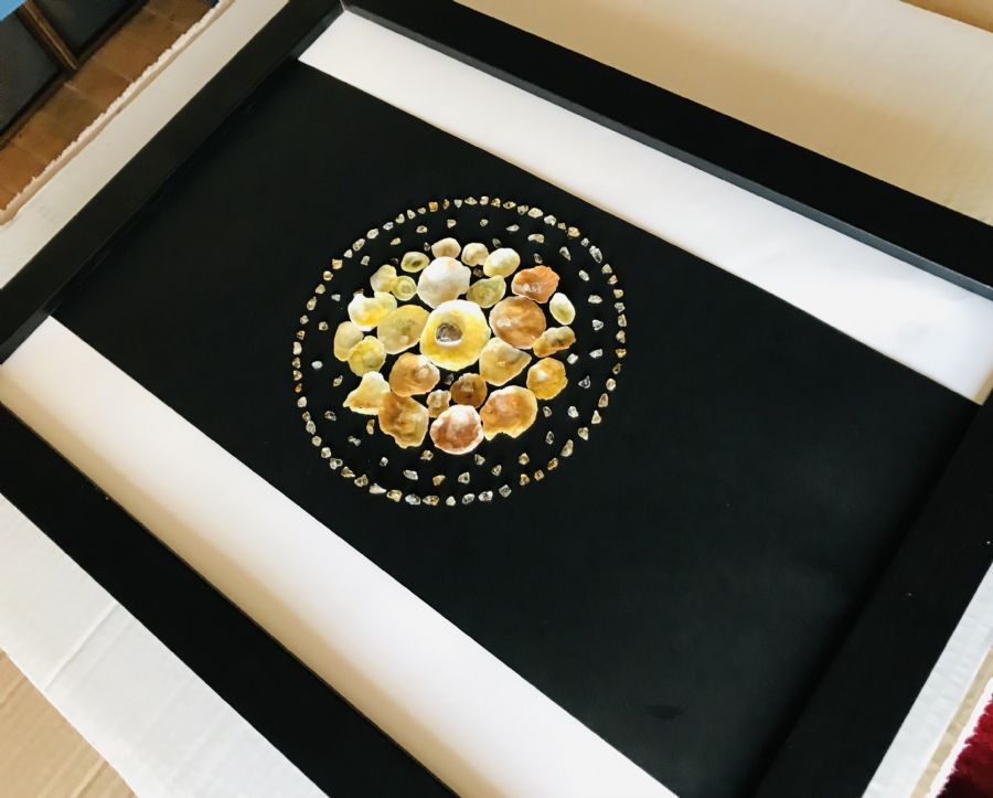 SEA SHELL ART