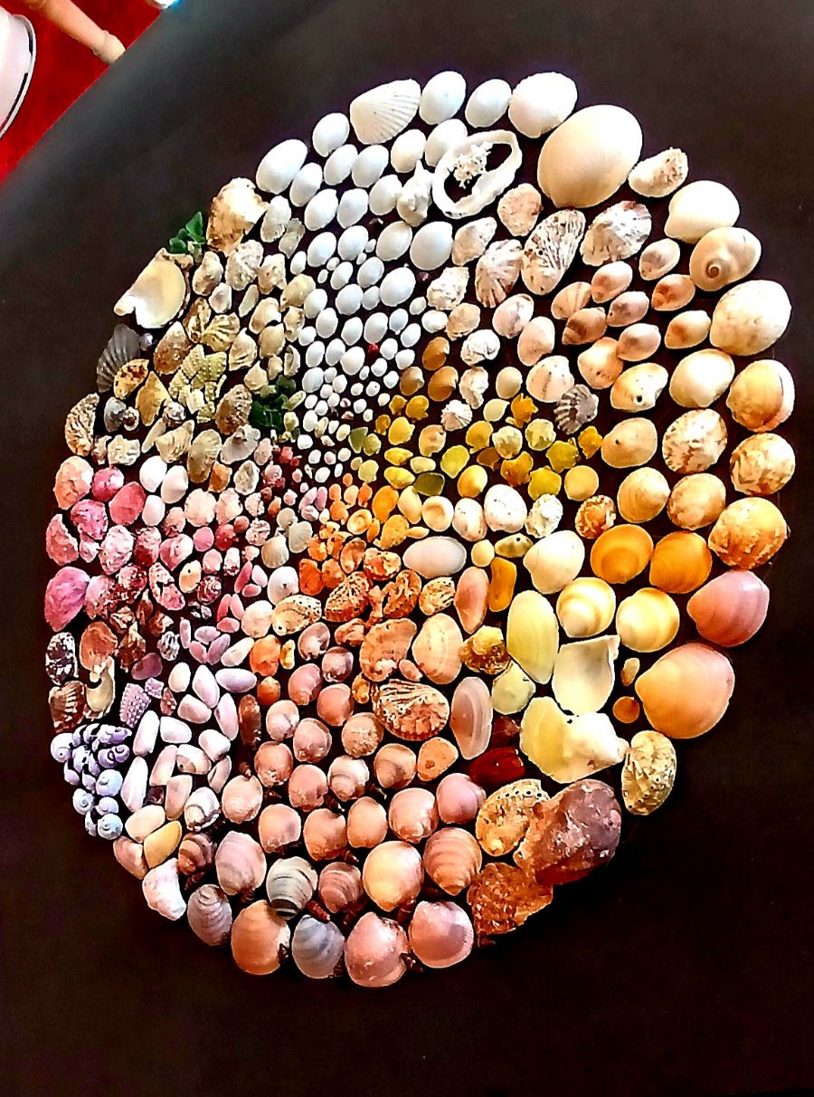 circle of sea shells...Cirklen lavet af