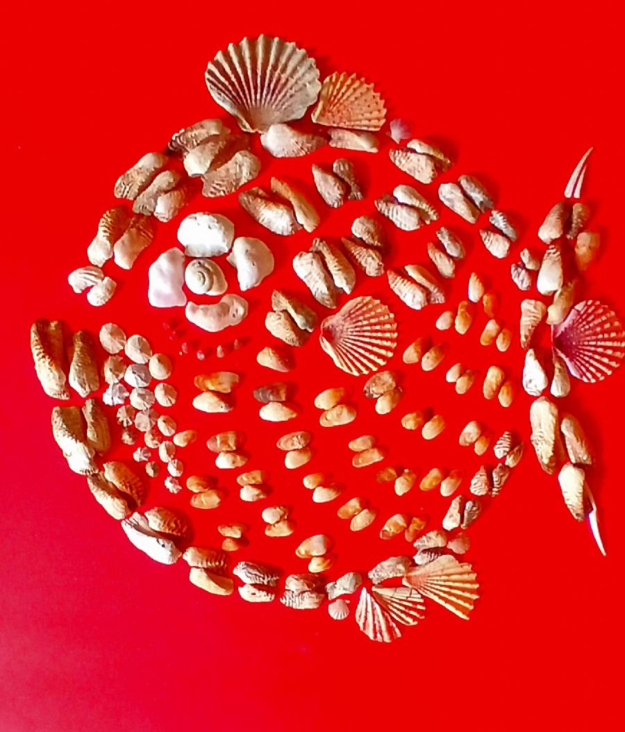EL DORADO Seashell Art
