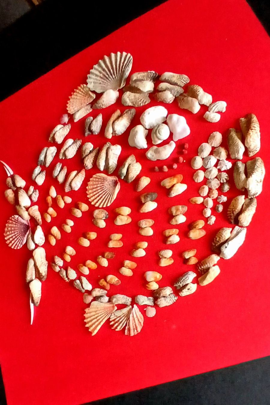 EL DORADO Seashell Art