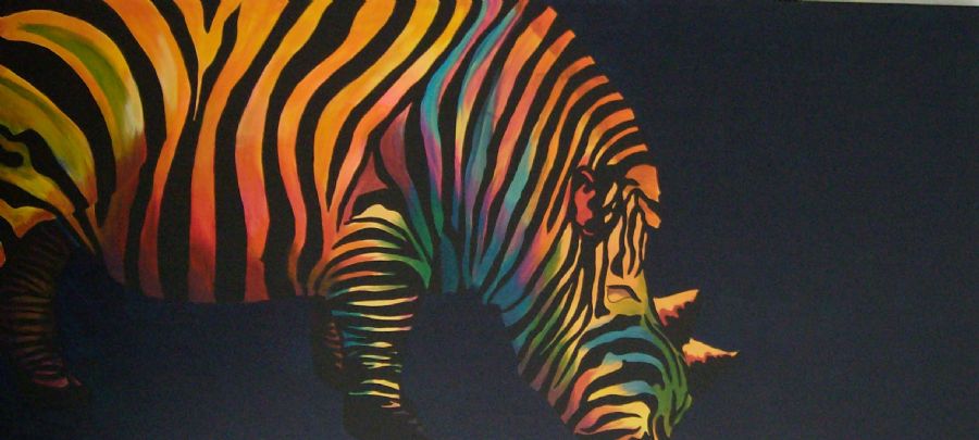Zebra-næsehorn