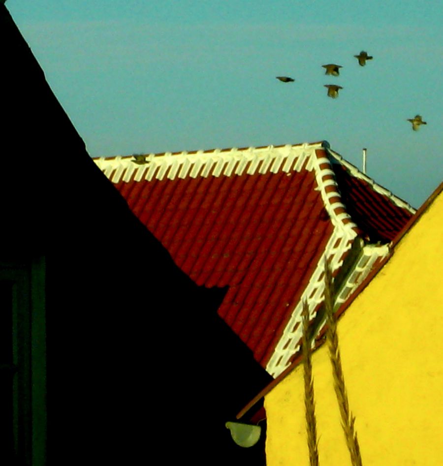 " Gammelt Lys Over Skagen "
