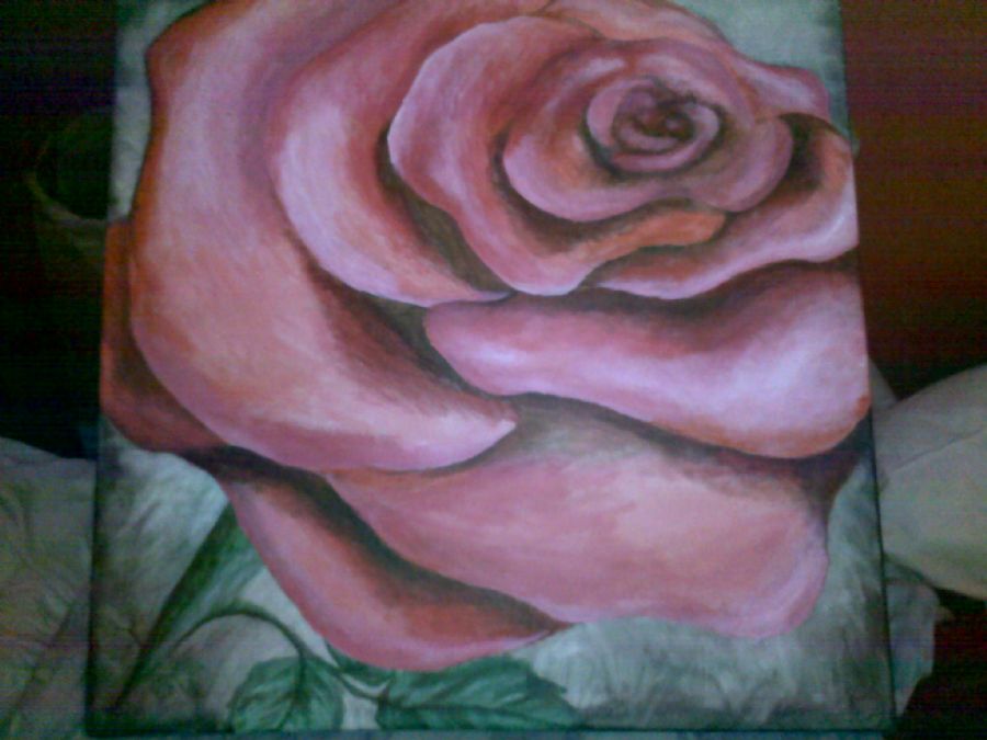 rose