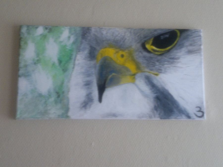 ørn