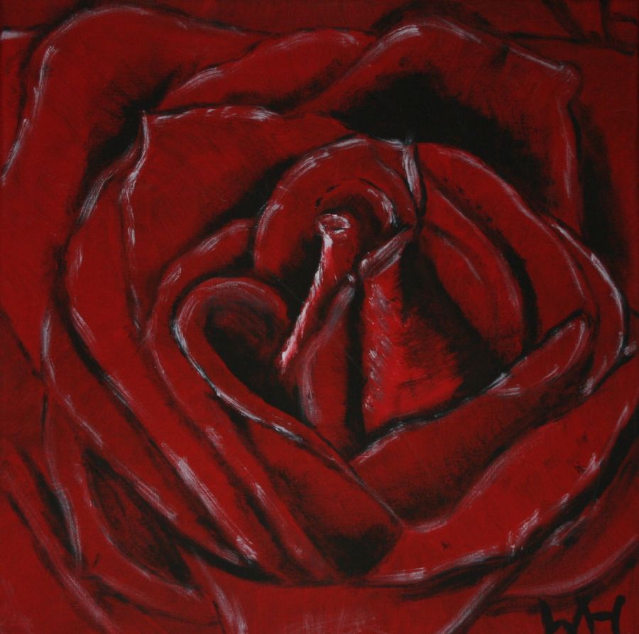 Sort rød rose