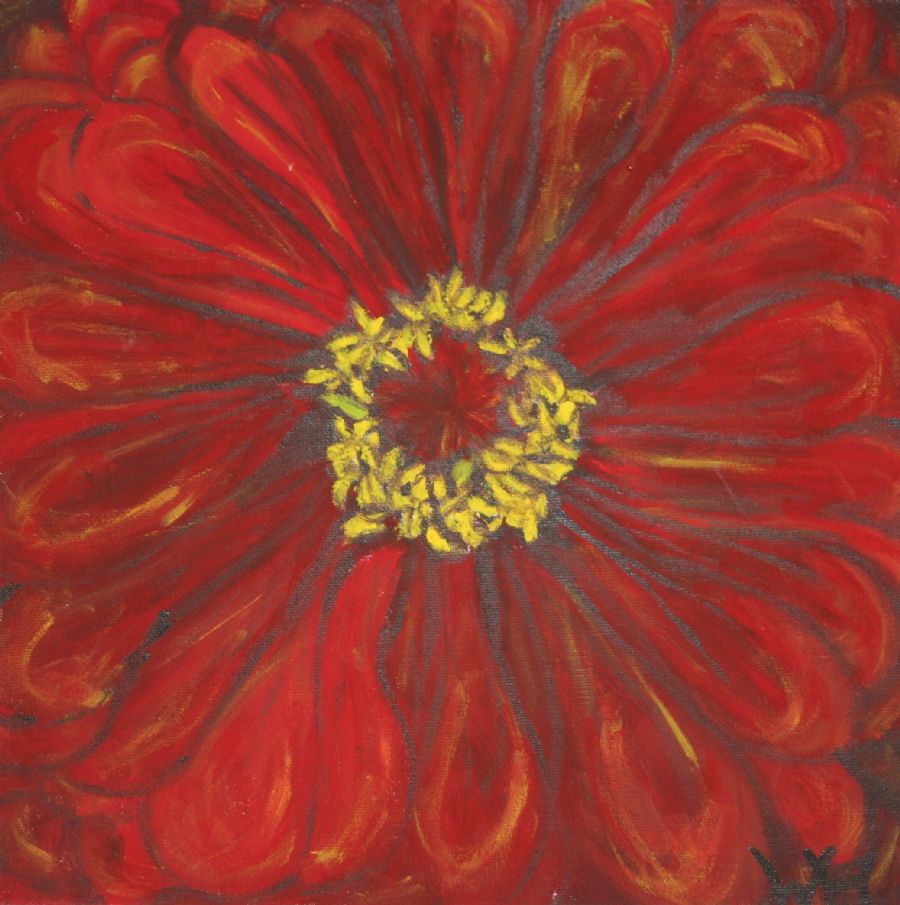 Orange georgine