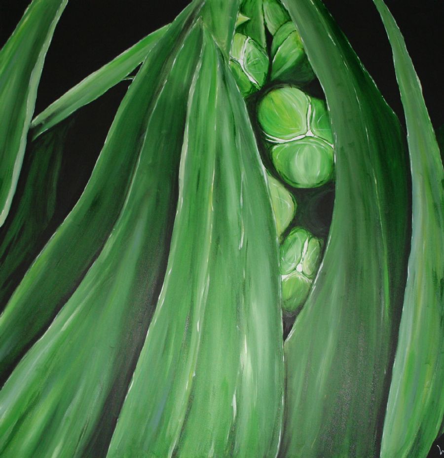 Grøn Tivoli plante