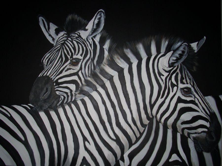 zebra love