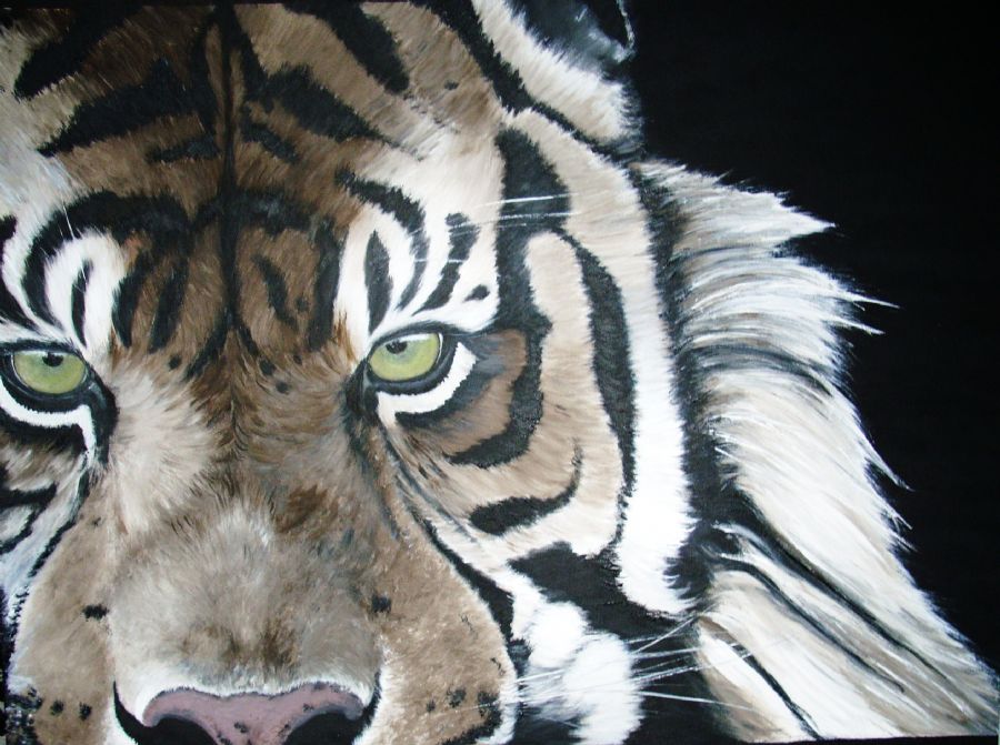 tiger