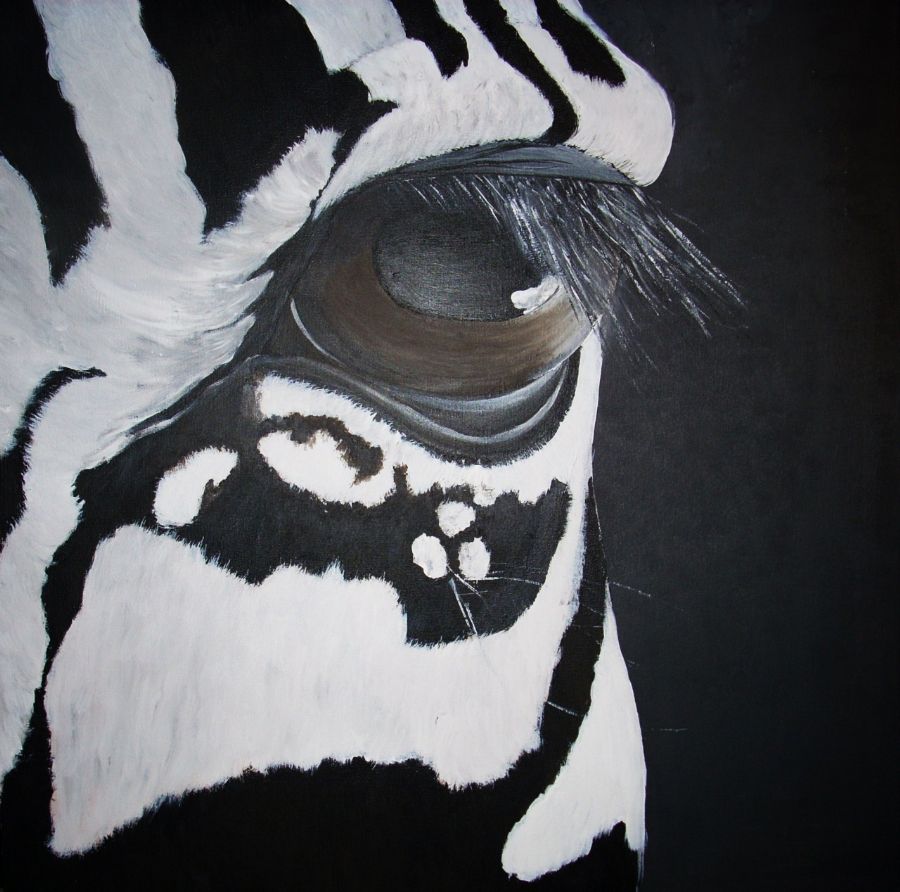 Just another zebra