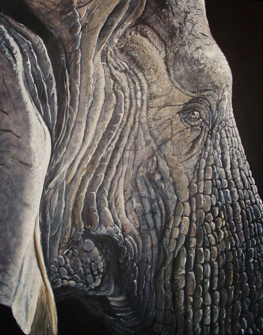 Elephant face
