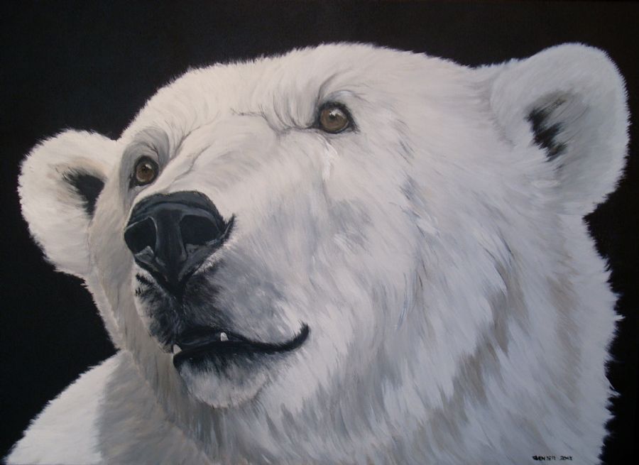 polar bear 1