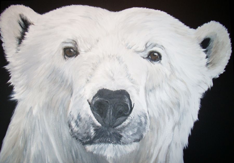 polar bear 3