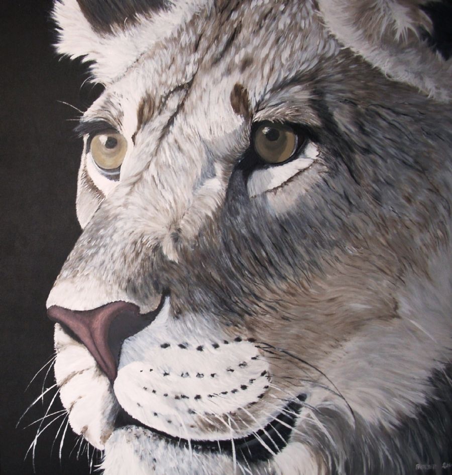 young lion