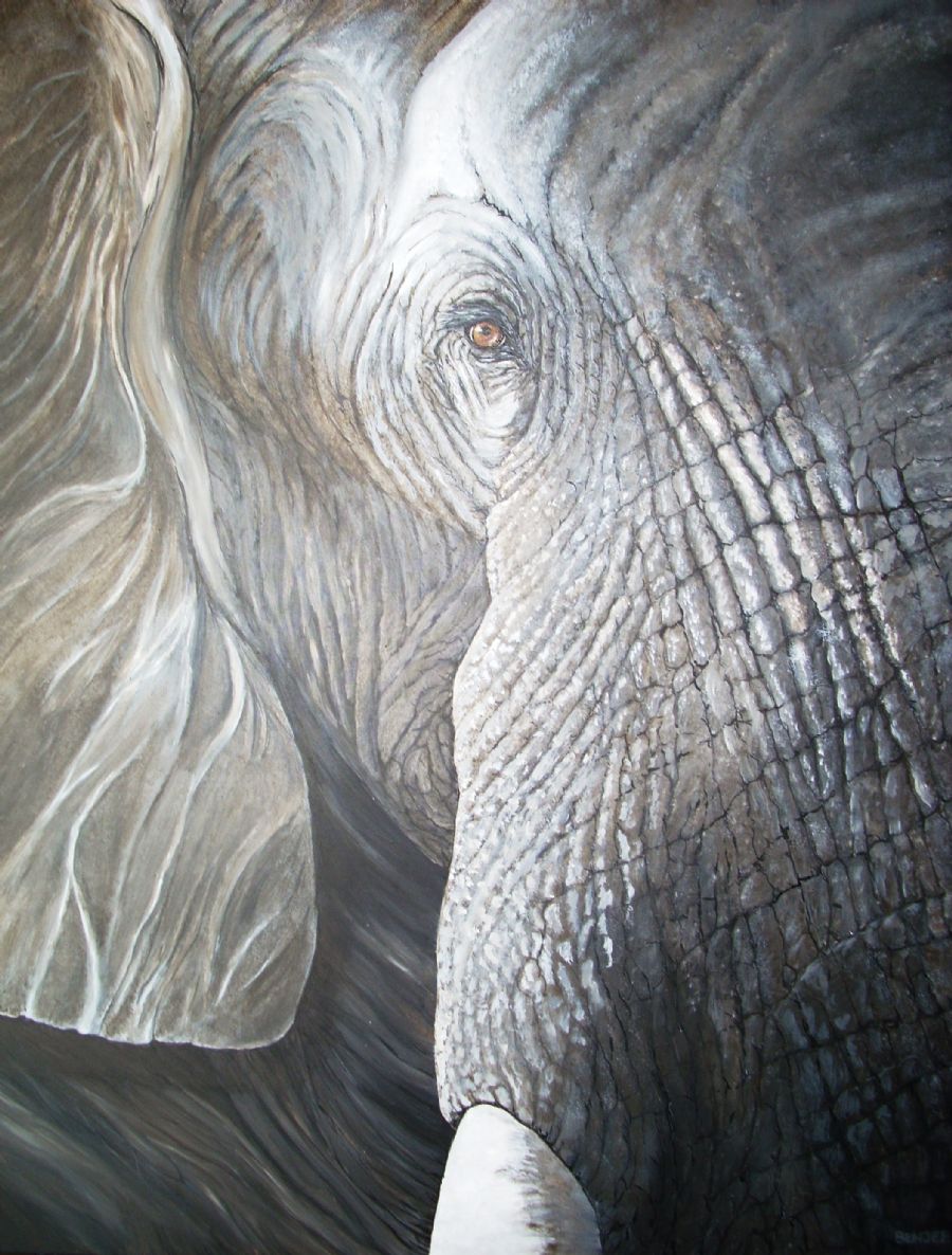 elephant face