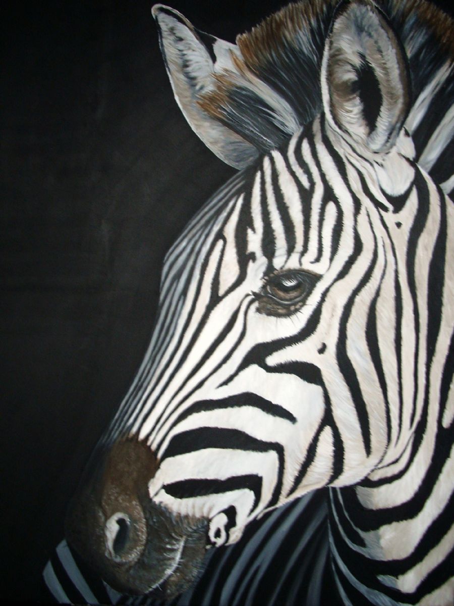 zebra