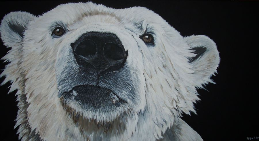 polar bear