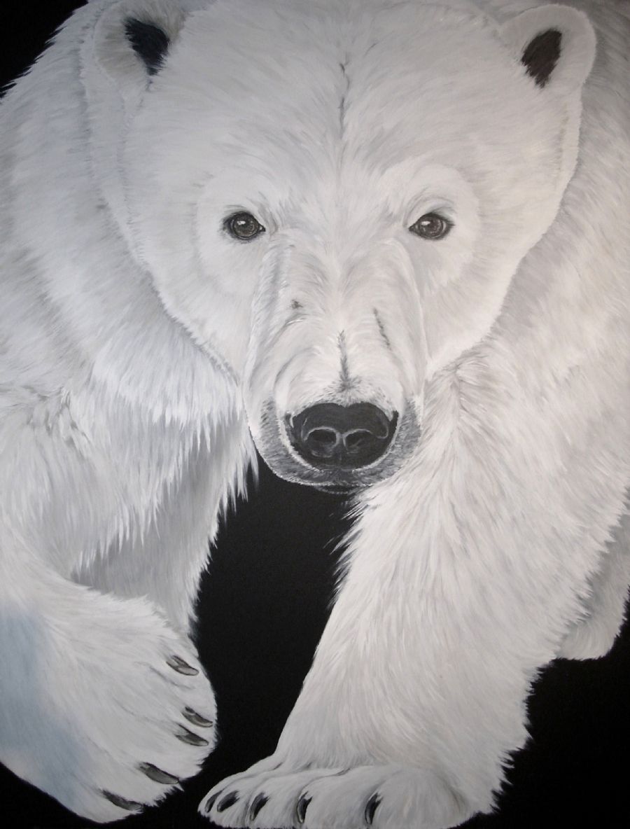 polar bear
