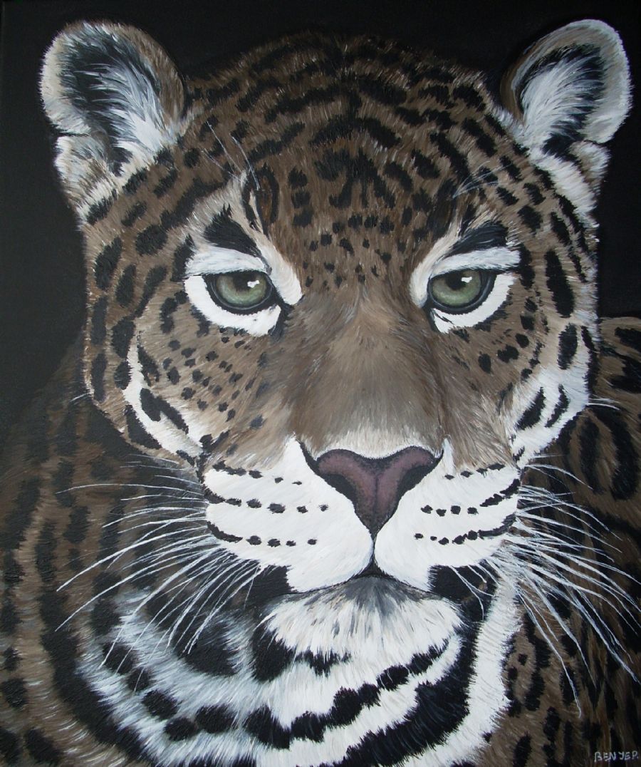 jaguar 2