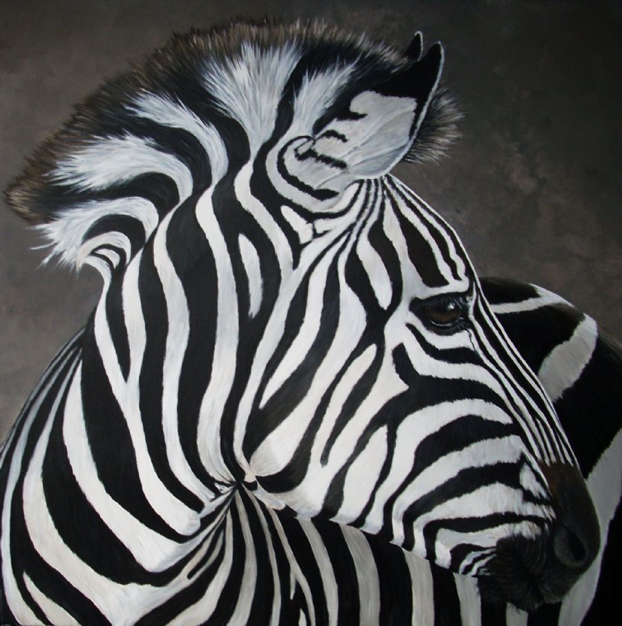 zoey the zebra