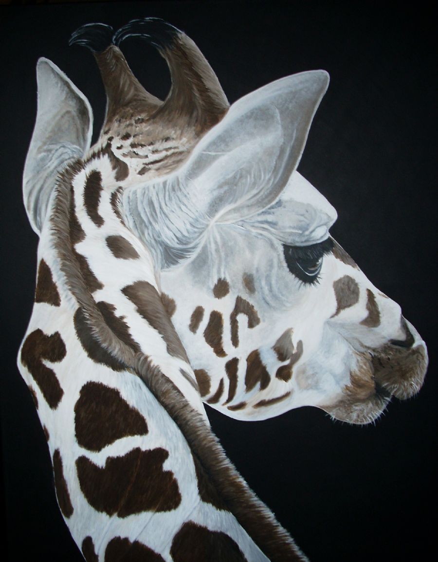 giraffe